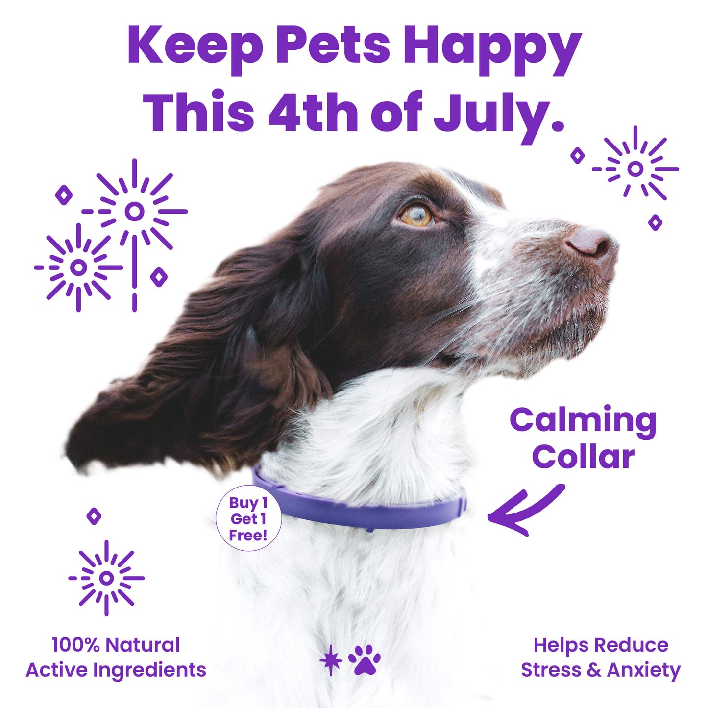 dog calming collar to help alleviate stress and anxiety in dogs including loud noises from fireworks or strange noises. The dog collar is purple and helps relax your pet in high anxiety situations