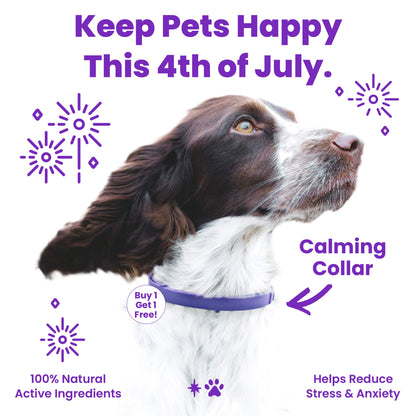 dog calming collar to help alleviate stress and anxiety in dogs including loud noises from fireworks or strange noises. The dog collar is purple and helps relax your pet in high anxiety situations