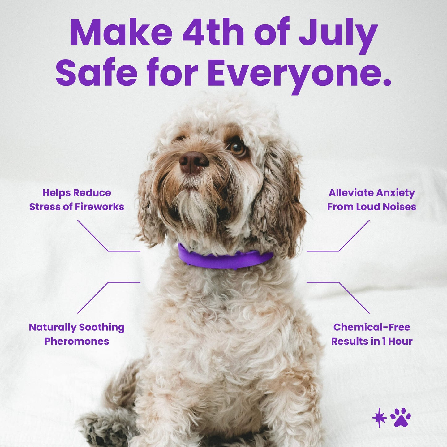 dog calming collar to help alleviate stress and anxiety in dogs including loud noises from fireworks or strange noises. The dog collar is purple and helps relax your pet in high anxiety situations