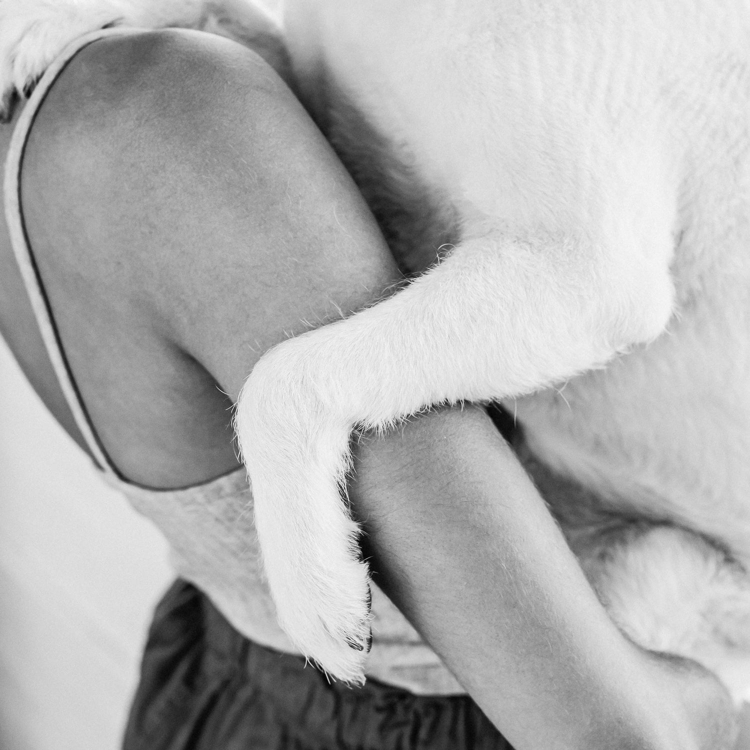 woman holding dog with clean paws after using a dog paw cleaner