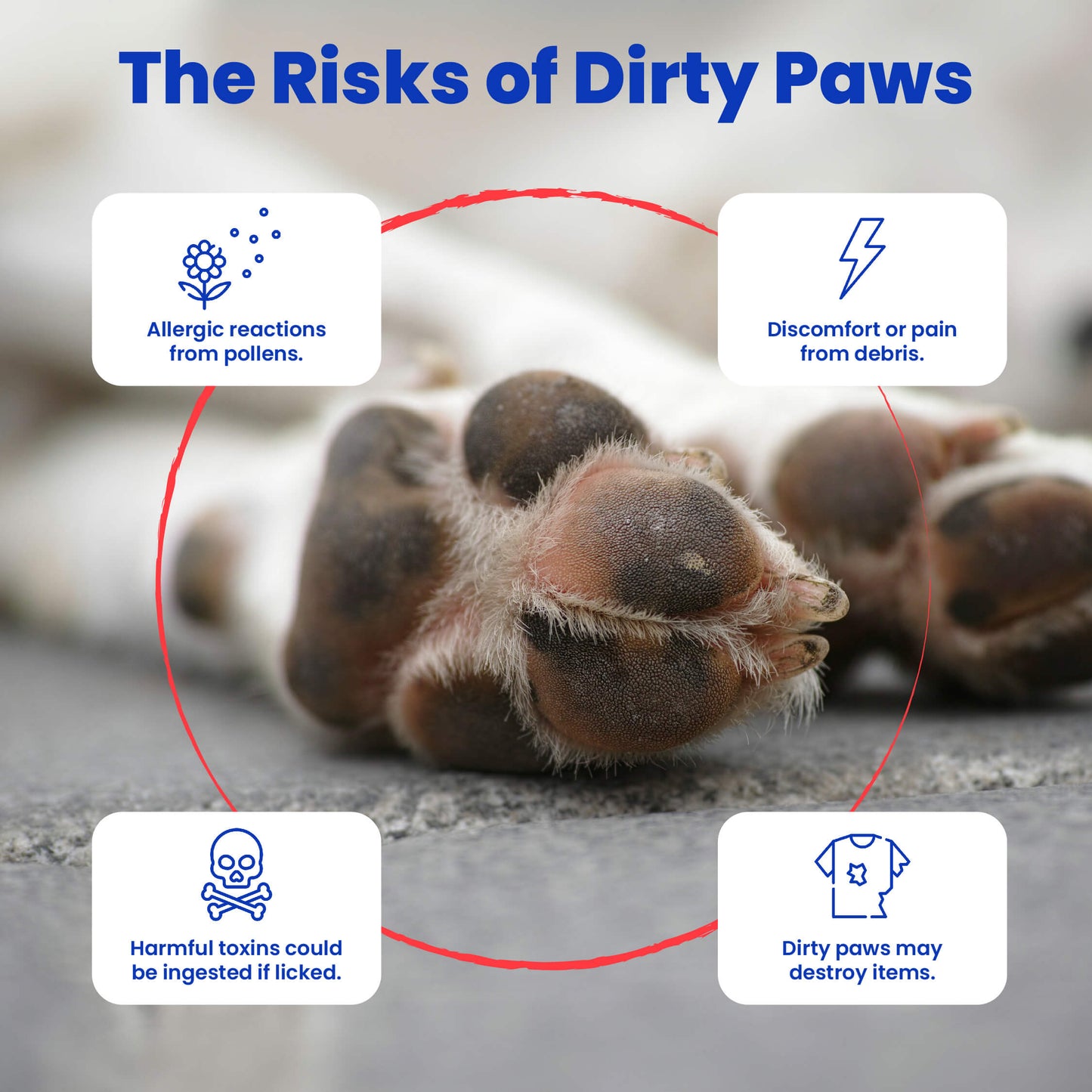 Easy & Effective Way to Clean Pet Paws!