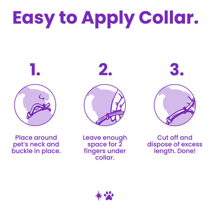 easy to apply calming dog collar to help with stress and anxiety