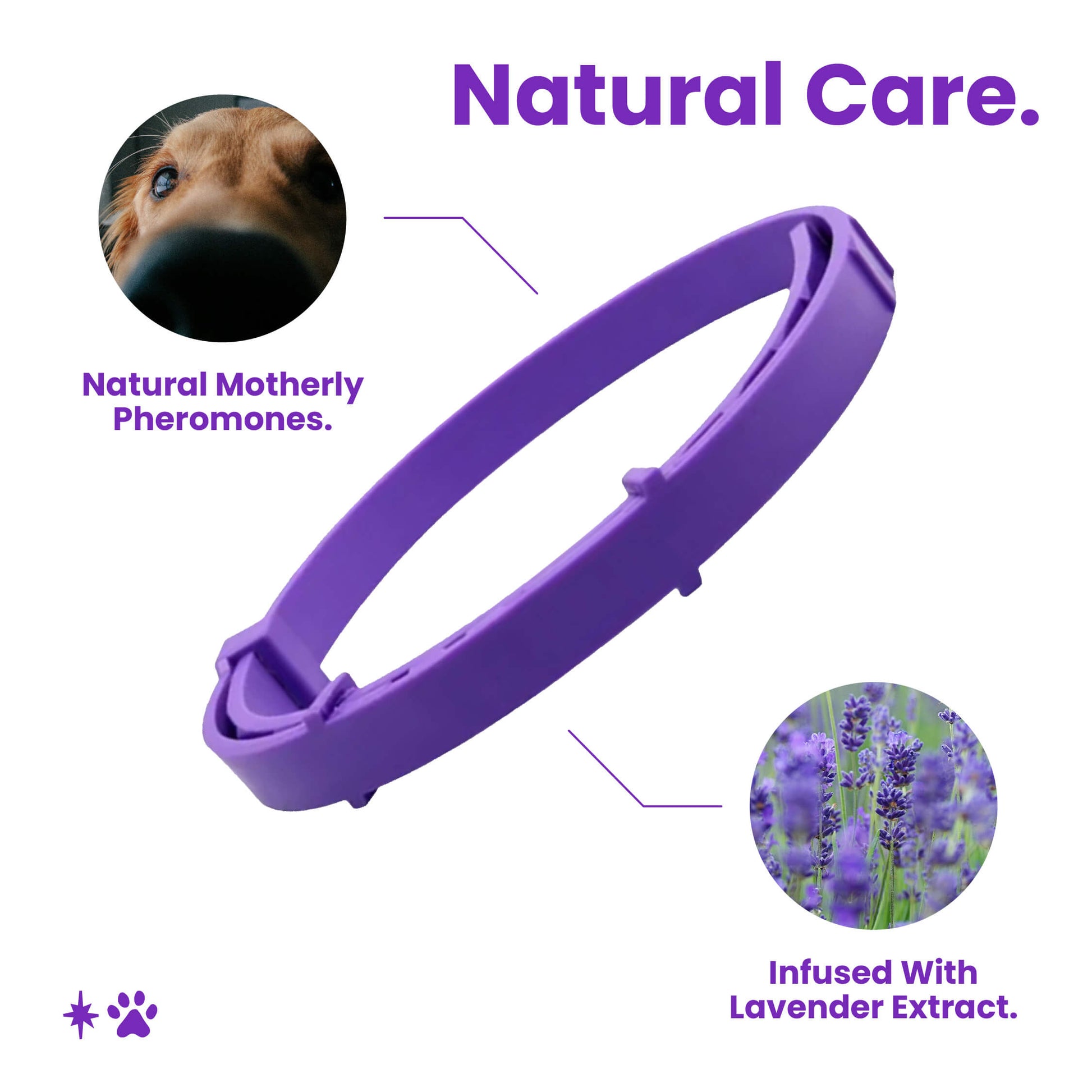 natural dog calming collar which has natural motherly pheromones and infused with lavender extract to calm dogs with anxiety and stress.